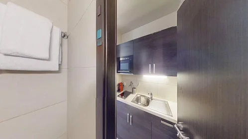Entire apartment at Boulevard de la Cluse, Plainpalais, image 7 of 10