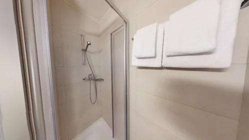 Entire apartment at Boulevard de la Cluse, Plainpalais, image 10 of 10
