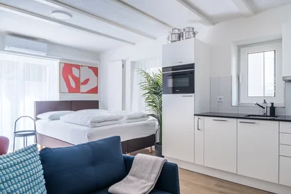 Privatzimmer in der Zollstrasse, Kreis 5, bild 2 von 10