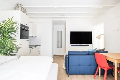 Habitación privada en Zollstrasse, Kreis 5, imagen 5 de 10