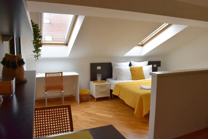 Accommodation with 3 bedrooms in Praha