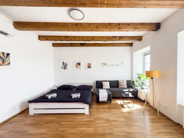 Logement entier à Opuštěná 227/4, image 1 de 10