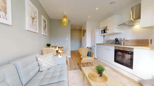 Özel oda konumu 64 Rue de Stalingrad, 38100 Grenoble, France, 13 20 görüntüsü