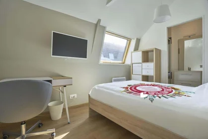 Privatzimmer in der 52 Rue Rabelais, 59800 Lille, France, bild 1 von 10
