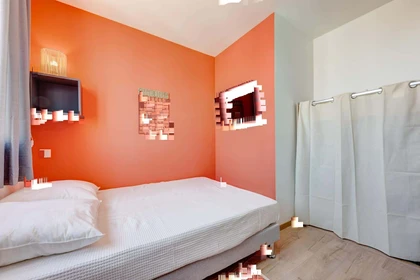 Helles Privatzimmer in Villeurbanne