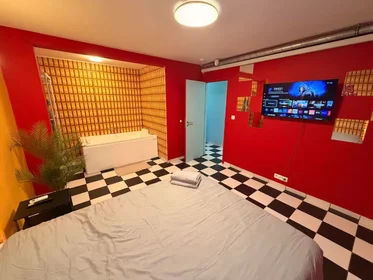 Apartamento inteiro em Rue des Kiévrois, Mons, imagem 6 de 10