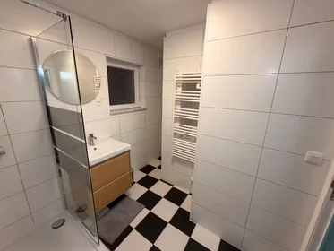 Apartamento inteiro em Rue des Kiévrois, Mons, imagem 9 de 10