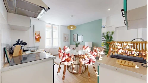 Chambre privée à 60 Rue des Ponts, 54000 Nancy, France, image 11 de 22