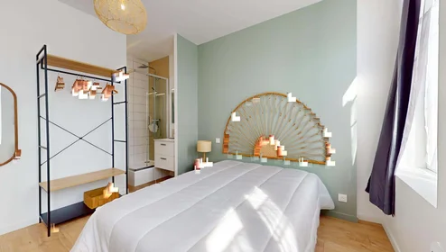 Chambre privée à 60 Rue des Ponts, 54000 Nancy, France, image 9 de 22