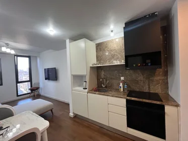 Entire apartment at Taşocağı Yolu Caddesi No:33, image 2 of 13