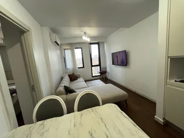 Entire apartment at Taşocağı Yolu Caddesi No:33, image 3 of 13