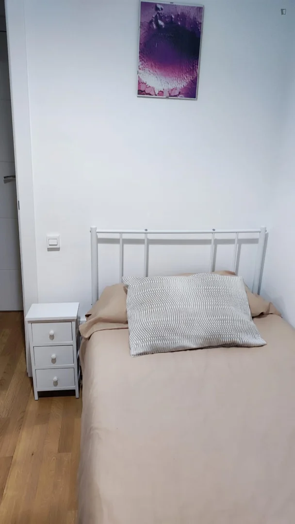 Affordable room for students with ample lighting in 