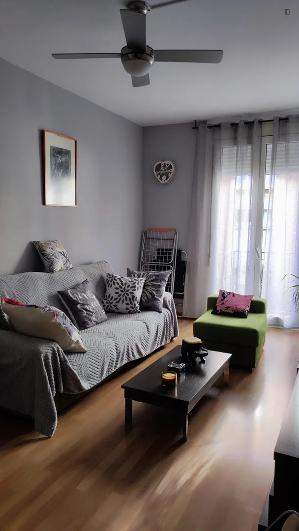 Budget-friendly student room close to campus in 