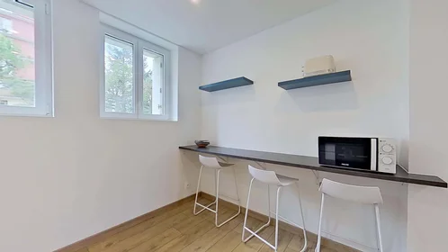 Prywatny pokój 86 Rue Joseph Creach, 29200 Brest, France, obraz 16 18