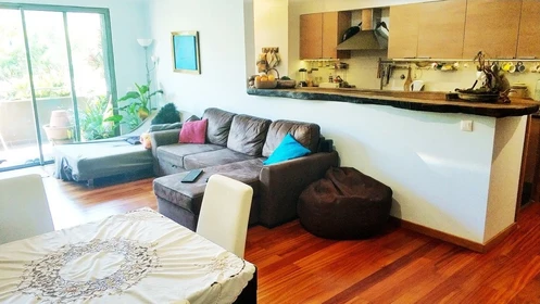 Entire fully furnished flat in Madeira