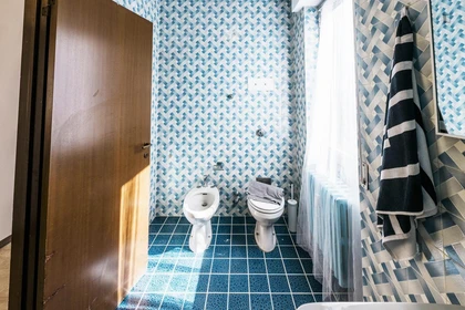 Stanza privata in Via Giorgio e Guido Paglia, immagine 13 di 18