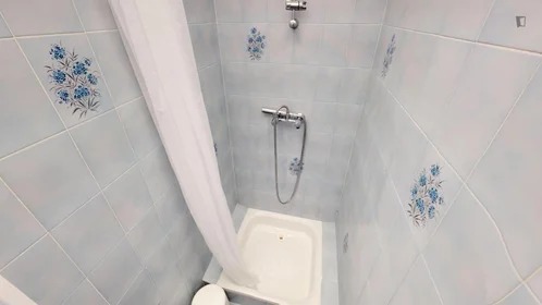 Quarto privado em Rue Juliette Récamier, imagem 11 de 14