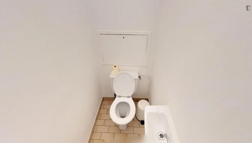 Quarto privado em Rue Juliette Récamier, imagem 12 de 14