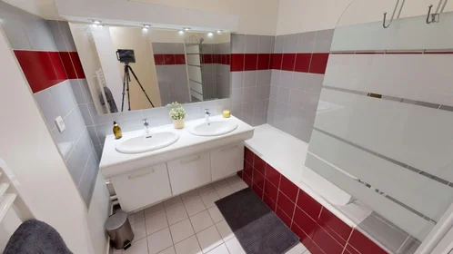 Private room at rue de Brest Lyon, image 13 of 15