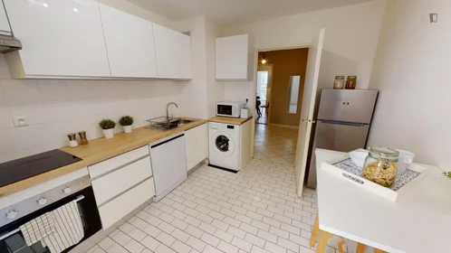 Private room at rue de Brest Lyon, image 9 of 15