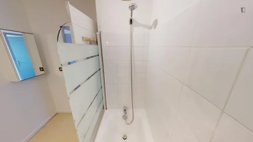 Privatzimmer in der Rue Marius Berliet, bild 11 von 13