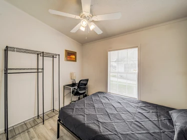 Room for rent in a shared flat in Dallas