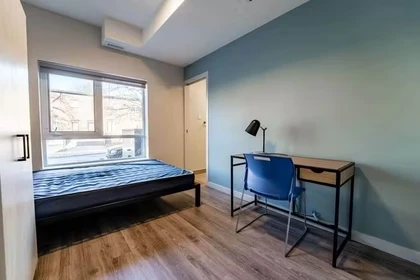 Chambre à louer dans un appartement en colocation à Ottawa