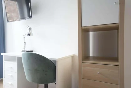Chambre privée à 89 Rue d'Isly, 59000 Lille, France, image 4 de 12