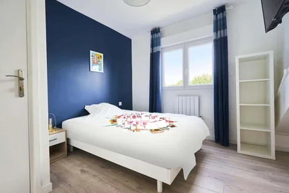 Prywatny pokój Rue Jacquemars Giélée, 59800 Lille, France, obraz 1 10