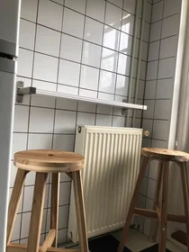 Chambre privée à Kootwijkstraat, Oostbroek, image 8 de 10