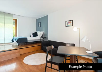 Apartamento inteiro em Via Vittoria Colonna, Buonarroti, imagem 7 de 10