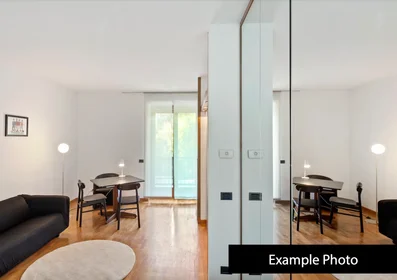 Apartamento inteiro em Via Vittoria Colonna, Buonarroti, imagem 8 de 10