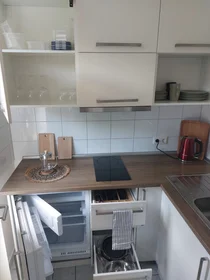 Gesamte Unterkunft in der Joseph-König-Straße, bild 6 von 15