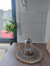 Gesamte Unterkunft in der Joseph-König-Straße, bild 9 von 15