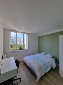 Prywatny pokój 114 Rue Guillaume Janvier, obraz 1 10