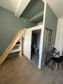 Chambre à louer dans un appartement en colocation à Saint-etienne