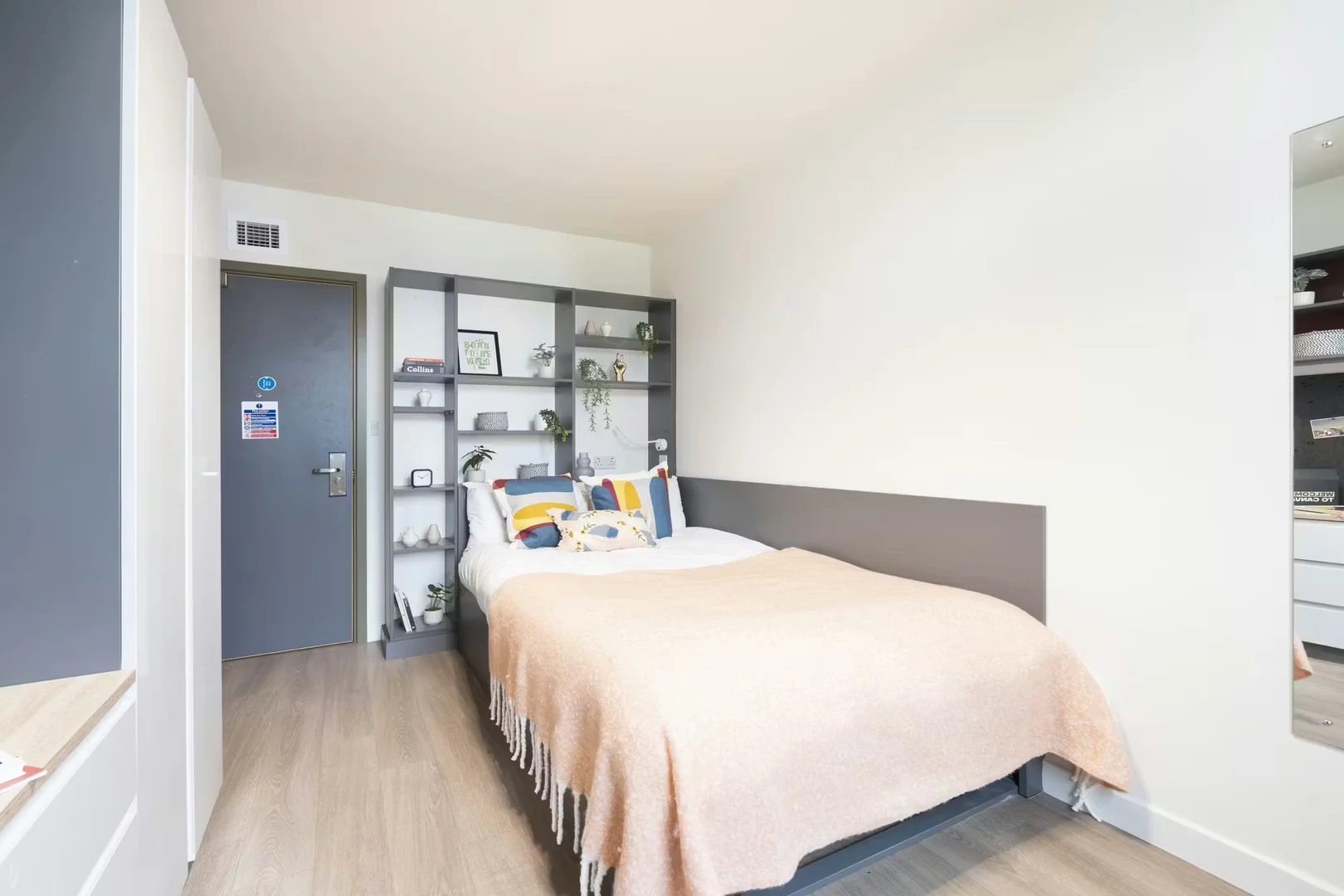 Student room in with study area and shared facilities
