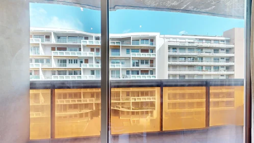 Prywatny pokój 3 Avenue de Bergougnan, obraz 7 18