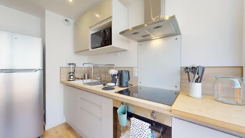 Prywatny pokój 3 Avenue de Bergougnan, obraz 8 18