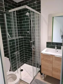 Habitación privada en 48 Rue Henri de Sahuque, 31400 Toulouse, France, imagen 2 de 28