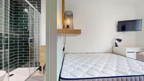 Habitación privada en 48 Rue Henri de Sahuque, 31400 Toulouse, France, imagen 7 de 28