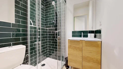 Habitación privada en 48 Rue Henri de Sahuque, 31400 Toulouse, France, imagen 8 de 28