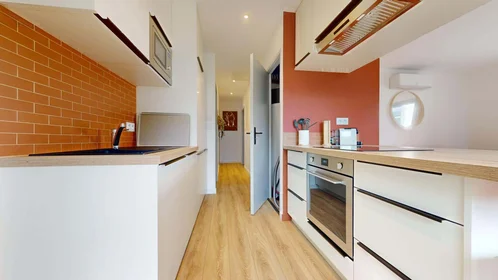 Özel oda konumu 48 Rue Henri de Sahuque, 31400 Toulouse, France, 22 29 görüntüsü