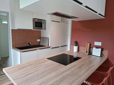 Özel oda konumu 48 Rue Henri de Sahuque, 31400 Toulouse, France, 10 29 görüntüsü