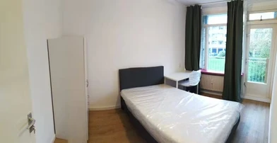 Alquiler de habitaciones por meses en Leiden