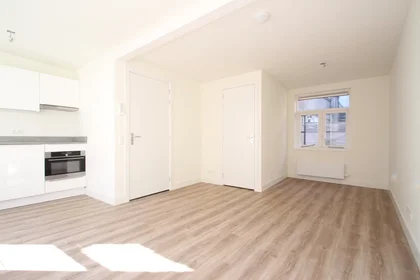 Gesamte Unterkunft in der Vinkenburgstraat, Centrum, bild 1 von 10