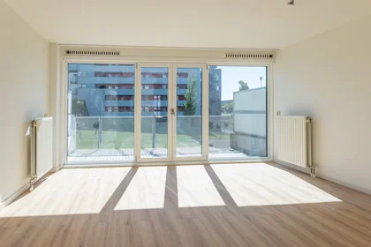 Całe miejsce Nisserstraat, Amsterdam Nieuw-West, obraz 1 10
