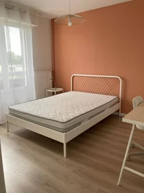 Private room at Angers, 49000, image 1 of 16