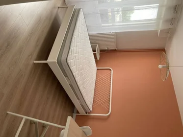 Privatzimmer in der Angers, 49000, bild 1 von 16
