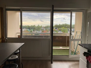 Privatzimmer in der Angers, 49000, bild 6 von 16